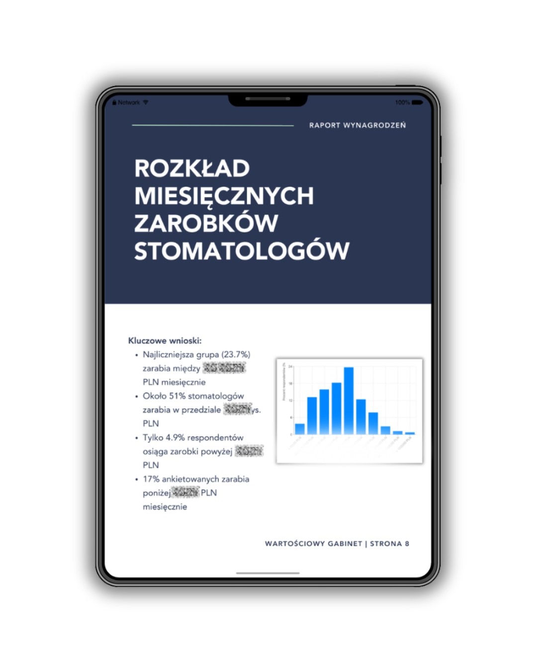 Przykładowa strona raportu